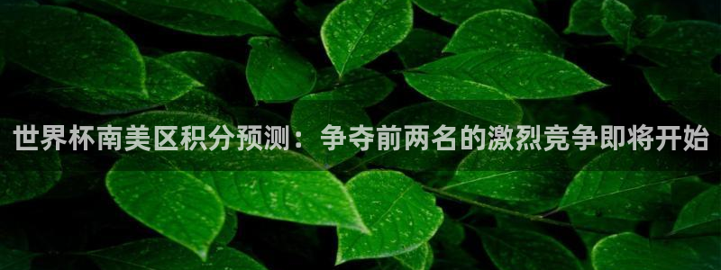 2026年世界杯直播平台:世界杯南美区积分预测:争夺前两名的激烈竞争即将开始