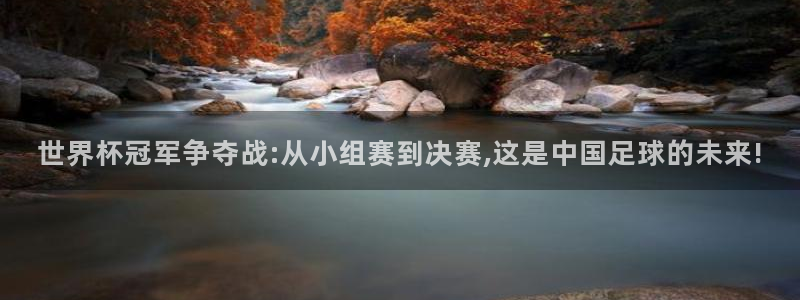 世界杯直播在线观看入口:世界杯冠军争夺战:从小组赛到决赛,这是中国足球的未来!