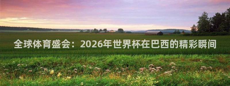 2026世界杯官网:全球体育盛会:2026年世界杯在巴西的精彩瞬间