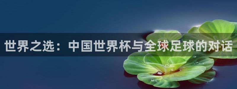 2006年世界杯冠军:世界之选:中国世界杯与全球足球的对话